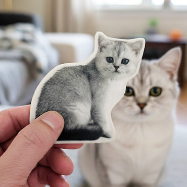 Person holding a cat-shaped sticker printed on a fuzzy material in front of a real cat